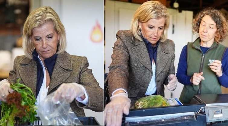 Софи опакова свежа салата.